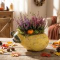 Deko-Pflanzgefäss Birne aus Beton, Herbstdeko, 25×13×11cm, Gelb | Floristik24.ch