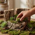 Korkrinde Natur 5er-Set Basteln Dekoration 30x20cm | Floristik24.ch