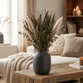 Trockenblumen Setaria Anthrazit Natur Borstenhirse Bund 100g | Floristik24.ch