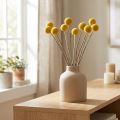 Craspedia Trockenblumen Gelb 70cm Deko 10 St | Floristik24.ch