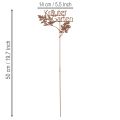 Gartenstecker aus Metall Kräutergarten 14x17cm Rostoptik für Aussenbereich – 4 Stück | Floristik24.ch