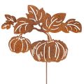 Floristik24 Gartenstecker Metall Kürbis Rostoptik 100cm für Herbstdekoration