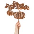 Gartenstecker Metall Kürbis Rostoptik 100cm für Herbstdekoration | Floristik24.ch