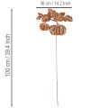 Gartenstecker Metall Kürbis Rostoptik 100cm für Herbstdekoration | Floristik24.ch