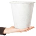 Metall-Pflanztopf mit Ornamenten Weiss Ø18,5cm H18cm für Innen- und Aussenbereich | Floristik24.ch