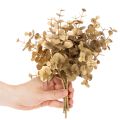Künstlicher Eukalyptuszweig Goldfarben 24cm für Dekoration | Floristik24.ch