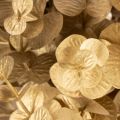Künstlicher Eukalyptuszweig Goldfarben 24cm für Dekoration | Floristik24.ch
