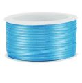 Floristik24 Geschenk- und Dekorationsband 3mm x 50m Hellblau