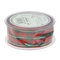 Geschenkband Schottisch kariert Dekoband Rotgrün 40mm 15m | Floristik24.ch