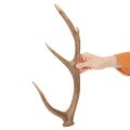 Deko-Geweih künstlich Polyresin braun 50cm | Floristik24.ch