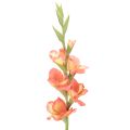 Floristik24 Künstliche Gladiole aus Seidenstoff 88 cm Orange-Gelb für Innenbereich