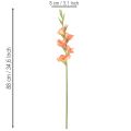 Künstliche Gladiole aus Seidenstoff 88 cm Orange-Gelb für Innenbereich | Floristik24.ch