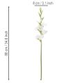 Künstliche Gladiole aus Textil und Kunststoff Weiss 88cm | Floristik24.ch