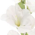 Künstliche Gladiole aus Textil und Kunststoff Weiss 88cm | Floristik24.ch