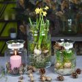 Glas Blumenvase breit klar Ø12cm H20cm | Floristik24.ch