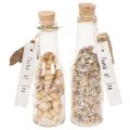 Floristik24 Glasflaschen-Set mit Muscheln und Anhänger, 17 cm, 2 Stück, maritime Tischdekoration