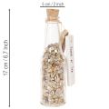 Glasflaschen-Set mit Muscheln und Anhänger, 17 cm, 2 Stück, maritime Tischdekoration | Floristik24.ch