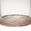 Floristik24 Glasglocke mit Teller aus Holz Glas Deko Ø17cm H25cm