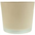 Floristik24 Glas Blumentopf Beige Übertopf Glaskübel Ø14,5cm H12,5cm