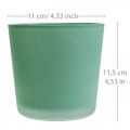 Floristik24 Glas Blumentopf Grün Übertopf Glaskübel Ø11,5cm H11cm