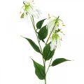 Floristik24 Künstliche Lilie, Blumendeko, Kunstpflanze, Seidenblume Weiß L82cm 3St
