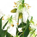 Floristik24 Künstliche Lilie, Blumendeko, Kunstpflanze, Seidenblume Weiß L82cm 3St
