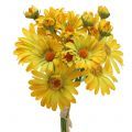 Floristik24 Gänseblümchen im Strauß Gelb 33cm 6St