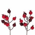 Floristik24 Künstliche Granatapfelzweige 19 cm, 4 Stück, rot, für Vase und Gestecke