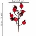 Künstliche Granatapfelzweige 19 cm, 4 Stück, rot, für Vase und Gestecke | Floristik24.ch
