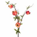 Floristik24 ProductNameKünstlicher Granatapfelzweig 68 cm, roter Fruchtzweig für die Tischdekoration/ProductName
ProductDescription<h2>Künstlicher Granatapfelzweig für Tisch- und Wohndekoration</h2>
<p>Der künstliche Granatapfelzweig ist ein 68 cm langer Fruchtzweig 