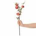 ProductNameKünstlicher Granatapfelzweig 68 cm, roter Fruchtzweig für die Tischdekoration/ProductName
ProductDescription<h2>Künstlicher Granatapfelzweig für Tisch- und Wohndekoration</h2>
<p>Der künstliche Granatapfelzweig ist ein 68 cm langer Fruchtzweig  | Floristik24.ch