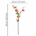 ProductNameKünstlicher Granatapfelzweig 68 cm, roter Fruchtzweig für die Tischdekoration/ProductName
ProductDescription<h2>Künstlicher Granatapfelzweig für Tisch- und Wohndekoration</h2>
<p>Der künstliche Granatapfelzweig ist ein 68 cm langer Fruchtzweig  | Floristik24.ch