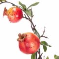 ProductNameKünstlicher Granatapfelzweig 68 cm, roter Fruchtzweig für die Tischdekoration/ProductName
ProductDescription<h2>Künstlicher Granatapfelzweig für Tisch- und Wohndekoration</h2>
<p>Der künstliche Granatapfelzweig ist ein 68 cm langer Fruchtzweig  | Floristik24.ch