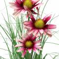 Floristik24 Gras mit Echinacea künstlich im Topf Pink 44cm