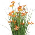Floristik24 Grasbund mit Blüten und Schmetterlingen Orange 70cm