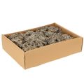 Dekomoos Graumoos 500g für kreative Gestaltung und Dekoration | Floristik24.ch