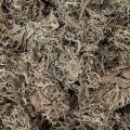 Dekomoos Graumoos 500g für kreative Gestaltung und Dekoration | Floristik24.ch
