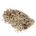 Dekomoos Graumoos 500g für