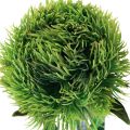 Floristik24 Grüne Bartnelke künstlich Kunstblume wie aus dem Garten 54cm