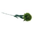 Floristik24 Grüne Bartnelke künstlich Kunstblume wie aus dem Garten 54cm