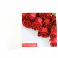 Floristik24 Gutscheinkarte rote Rosen + Umschlag 1St