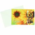 Floristik24 Gutschein Sonnenblume mit Umschlag 5St