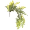 Floristik24 Künstlicher Farnzweig aus Kunststoff, Grün, 80 cm lang, für Vasen und floristische Dekoration
