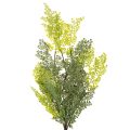 Künstlicher Farnzweig aus Kunststoff, Grün, 80 cm lang, für Vasen und floristische Dekoration | Floristik24.ch
