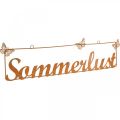 Floristik24 Gartendeko mit Schmetterlingen, Hänger “Sommerlust”, Metalldeko Edelrost L54,5cm H14cm