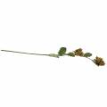 Haselnusszweig Grün/Braun 84cm | Floristik24.ch