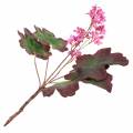 Floristik24 Purpurglöckchen Heuchera Deko-Zweig Pink 44cm