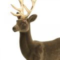 Deko Hirsch Dekofigur Deko-Rentier Beflockt Braun H46cm | Floristik24.ch