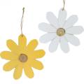Floristik24 Holz-Blüten zum Hängen, Frühlings-Deko, Blumen aus Holz Gelb und Weiß, Sommerblumen 8St