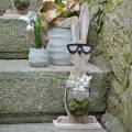 Floristik24 Holzhasen mit Sonnenbrille und Korb Natur, Osterdeko, Hasen-Figur mit Pflanzkorb, Frühlingsdeko 2St